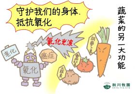新澳门2024最新饮料大全