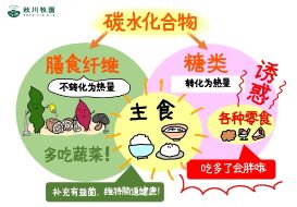 新澳门2024最新饮料大全