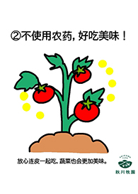 新澳门2024最新饮料大全