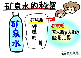 新澳门2024最新饮料大全