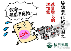新澳门2024最新饮料大全