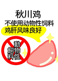 新澳门2024最新饮料大全