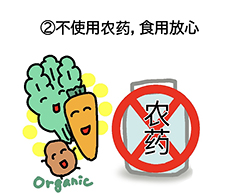 新澳门2024最新饮料大全