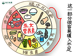 新澳门2024最新饮料大全